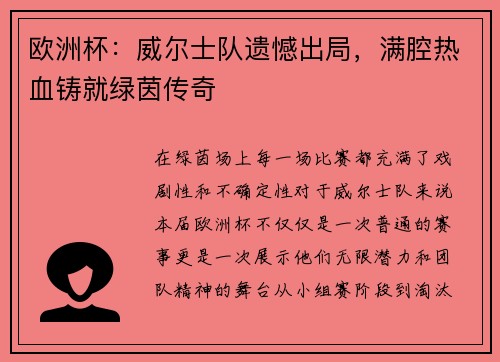 欧洲杯：威尔士队遗憾出局，满腔热血铸就绿茵传奇